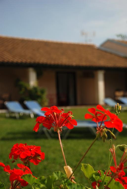 Lefkes Apartments Acharavi  Rum bild
